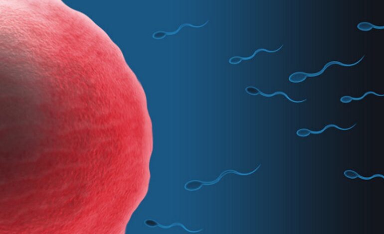 encuentra y aísla «espermatozoides raros»