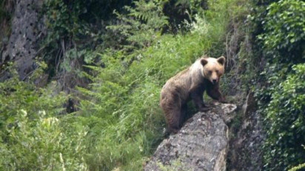 despliegan al Ejército tras la muerte de 13 personas