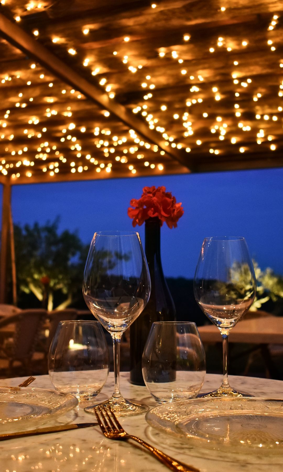 Experiencias de enoturismo en la finca ecológica Mont-Rubí del Penedés