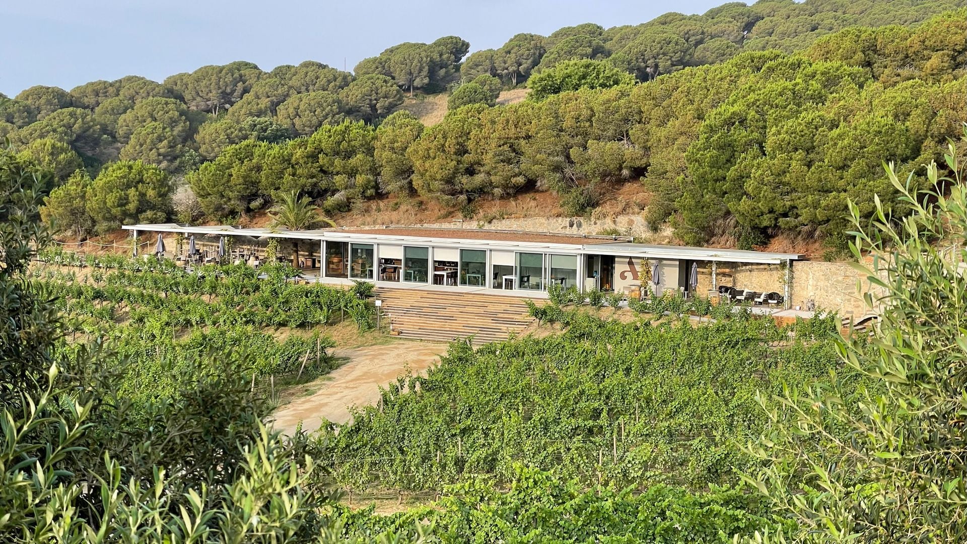 Experiencias de enoturismo en Alta Alella, Cataluña