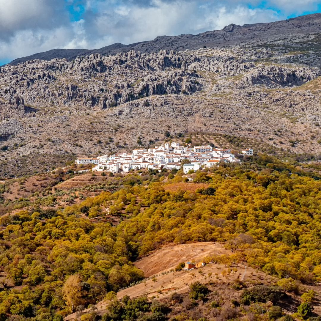 Serranía de Ronda, Catajima, Málaga