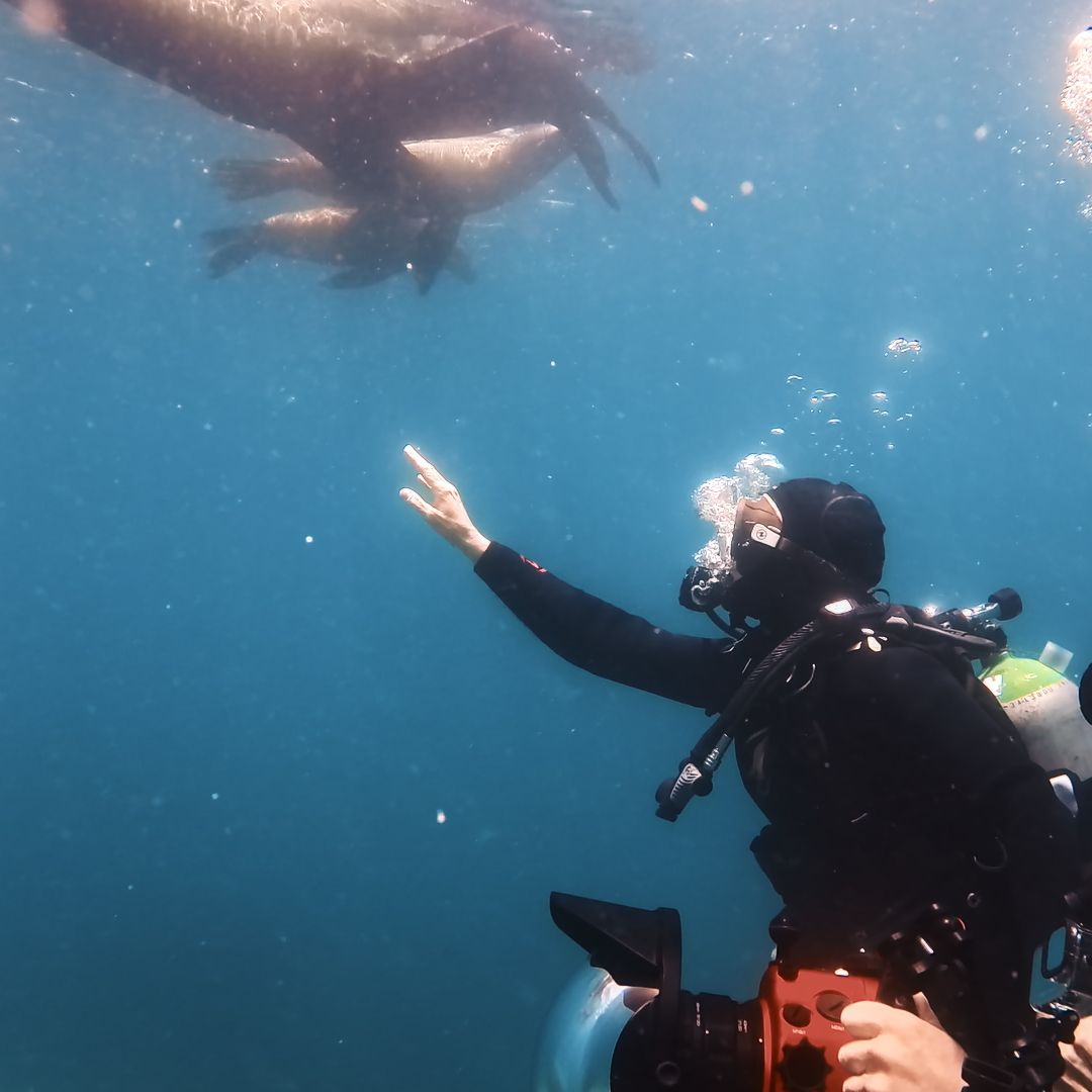 Gotzón Mantuliz y Silvia Abril en Baja California Sur, México