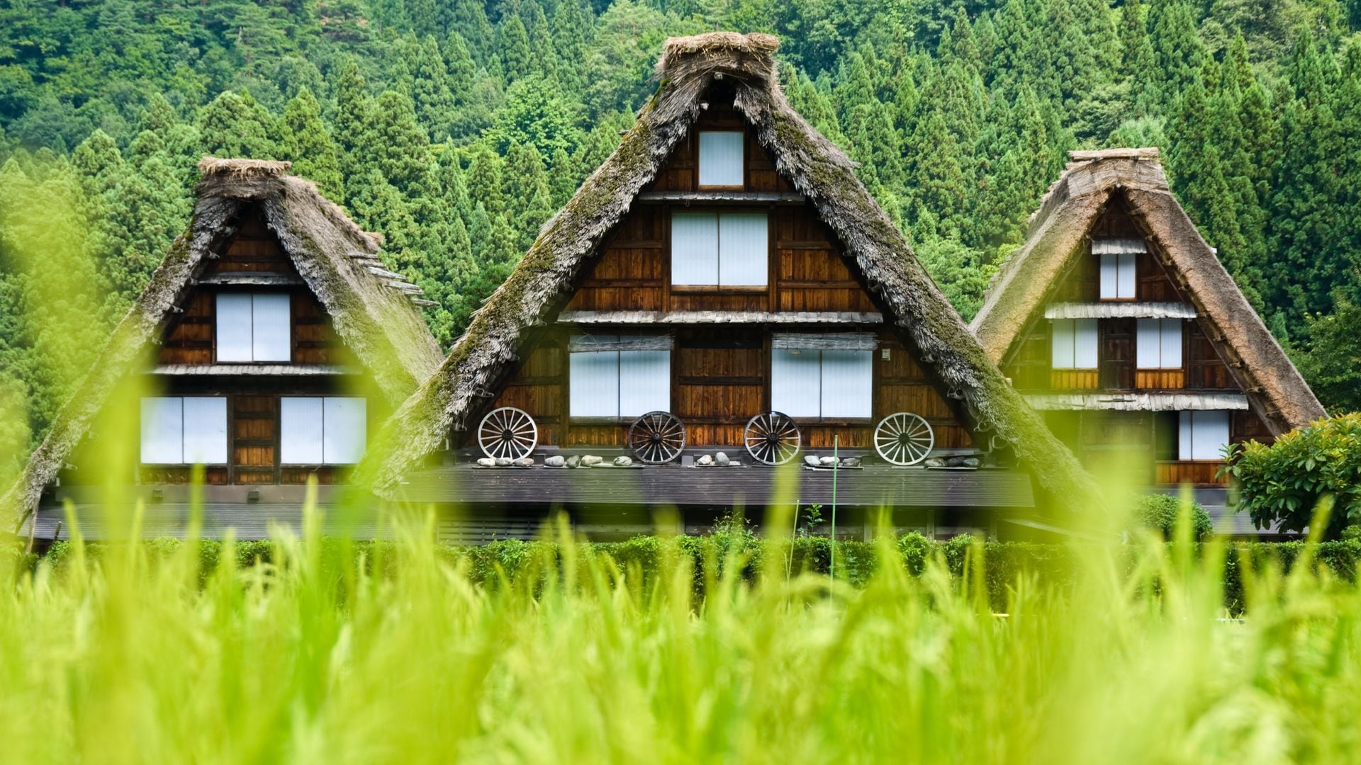 Hirakawa-go, le village japonais déclaré site du patrimoine mondial par l'UNESCO.