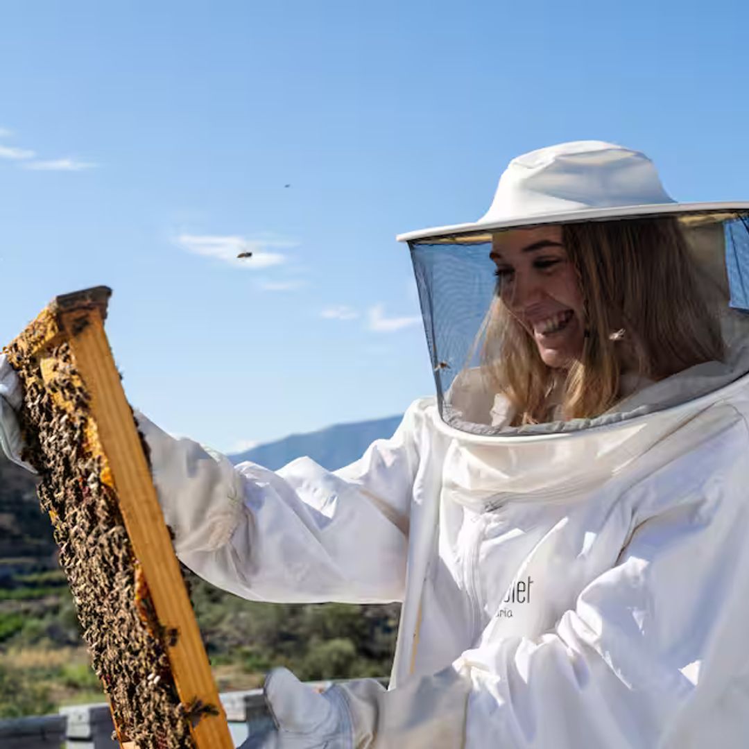 Experiencia apiturística, Alicante