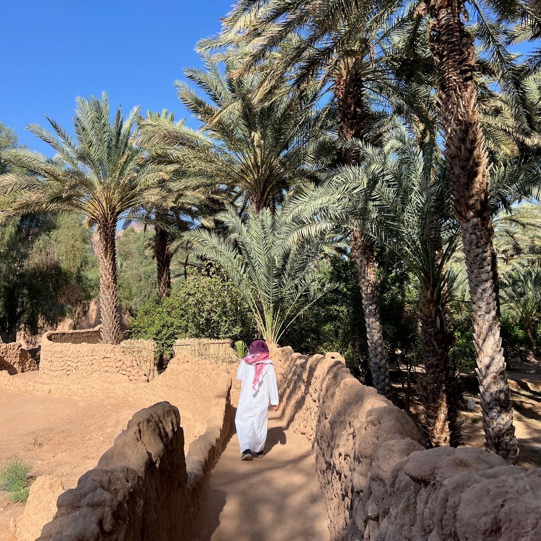 Sendero Oasis, AlUla, Arabia Saudita