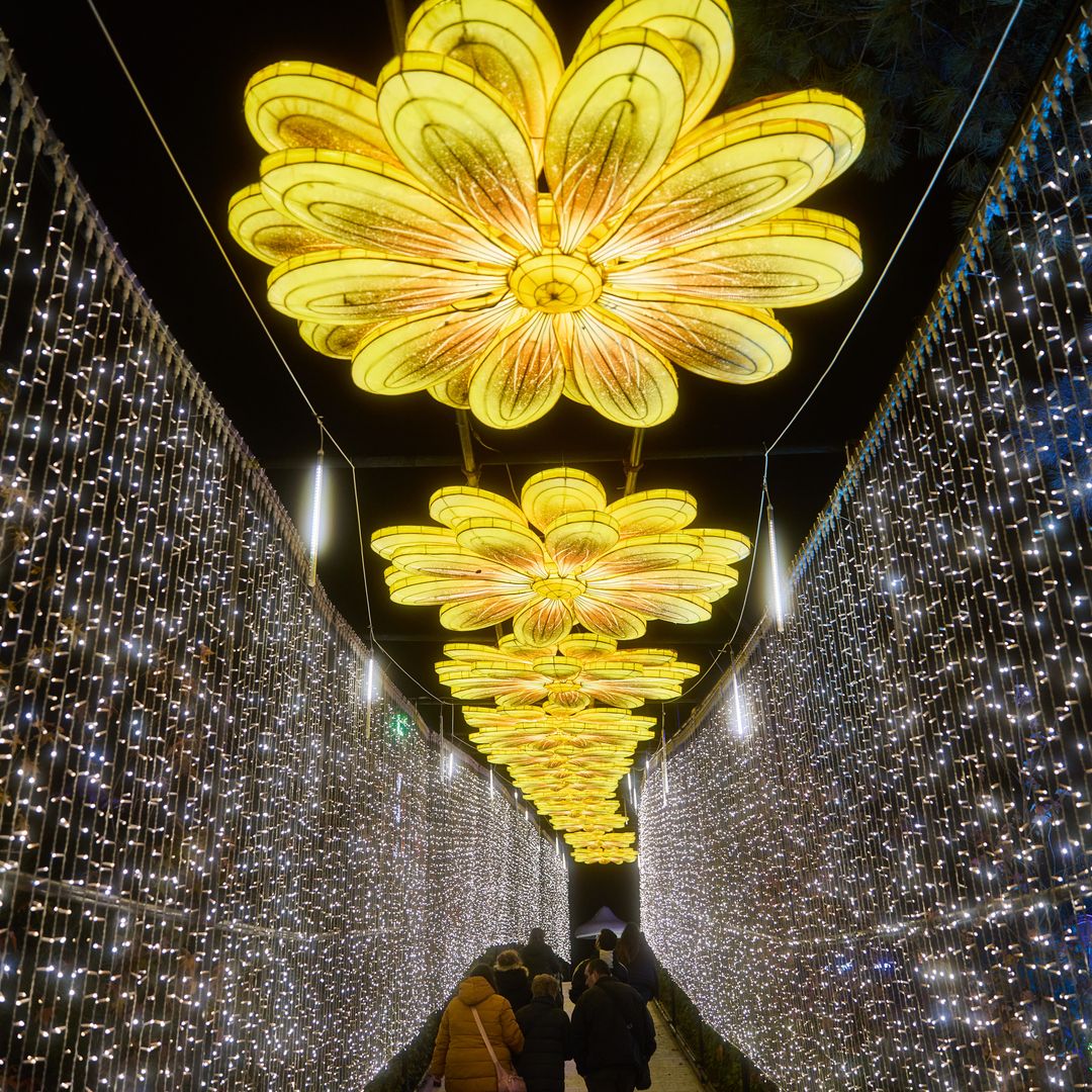 Navidad Mágica, Torrejón de Ardoz, Madrid