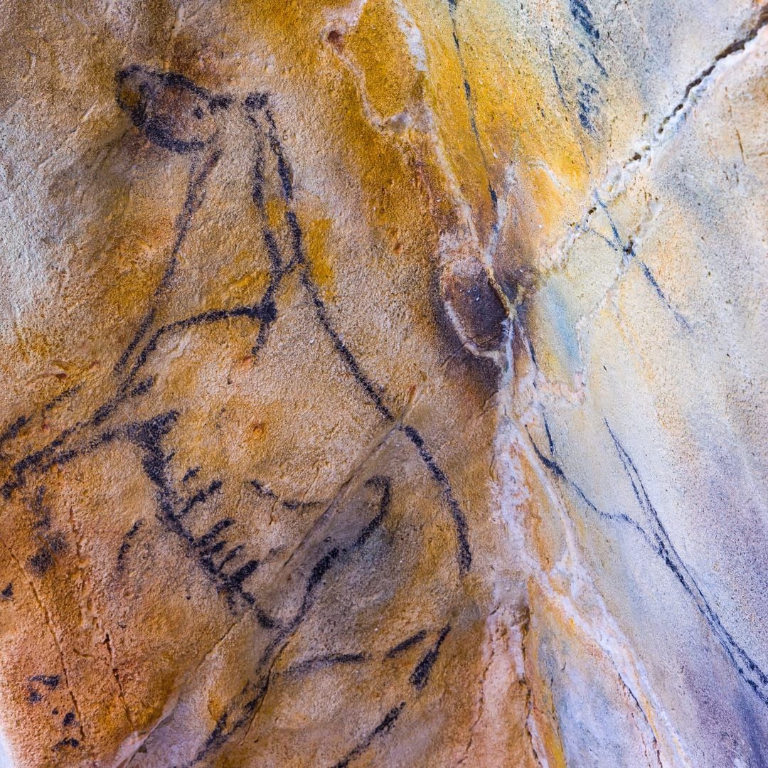 Peinture de chevaux préhistoriques, grotte de Las Monedas, Puente Viesgo, Cantabrie