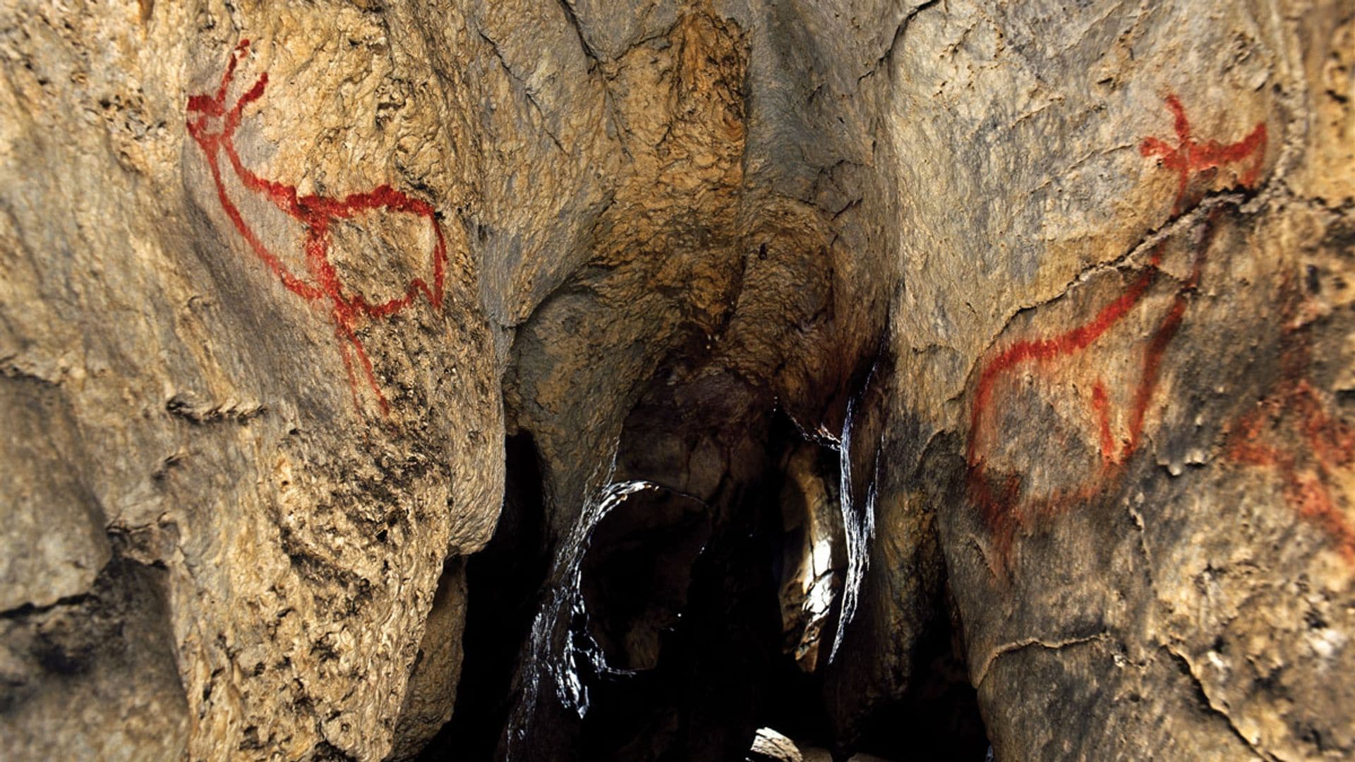 Grotte de Covalanas, Ramales de la Victoria, Cantabrie