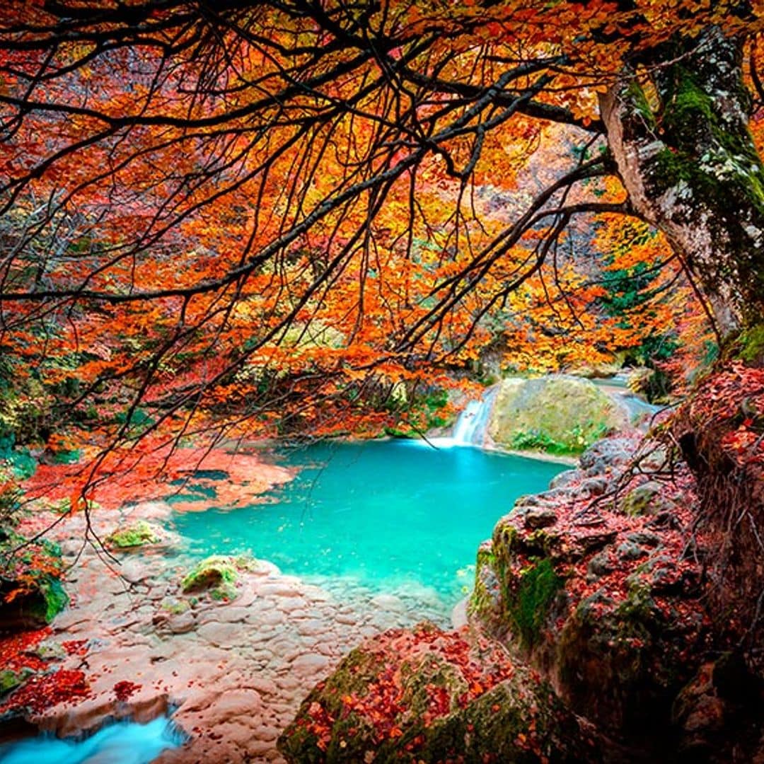 Fuente del Urederra, Navarra