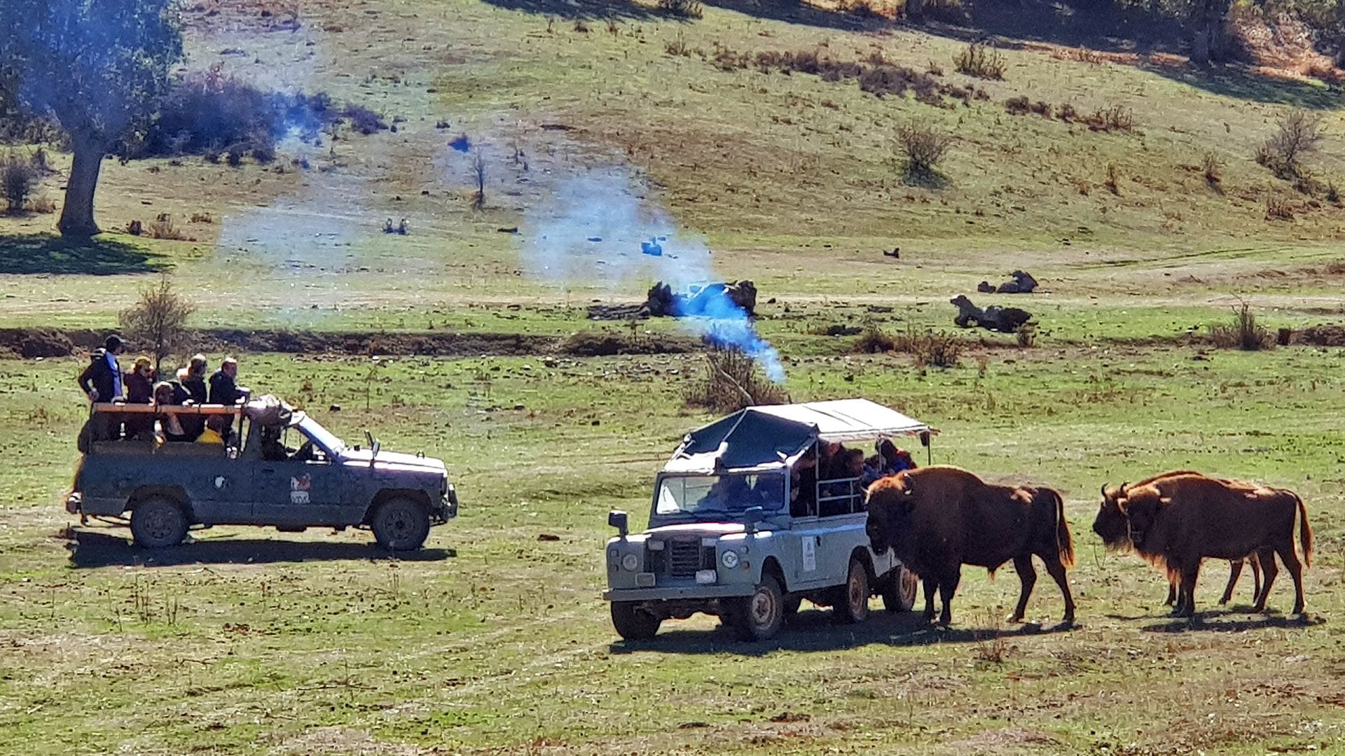 Paleolítico Viviente, Salguero de Juarros, Burgos