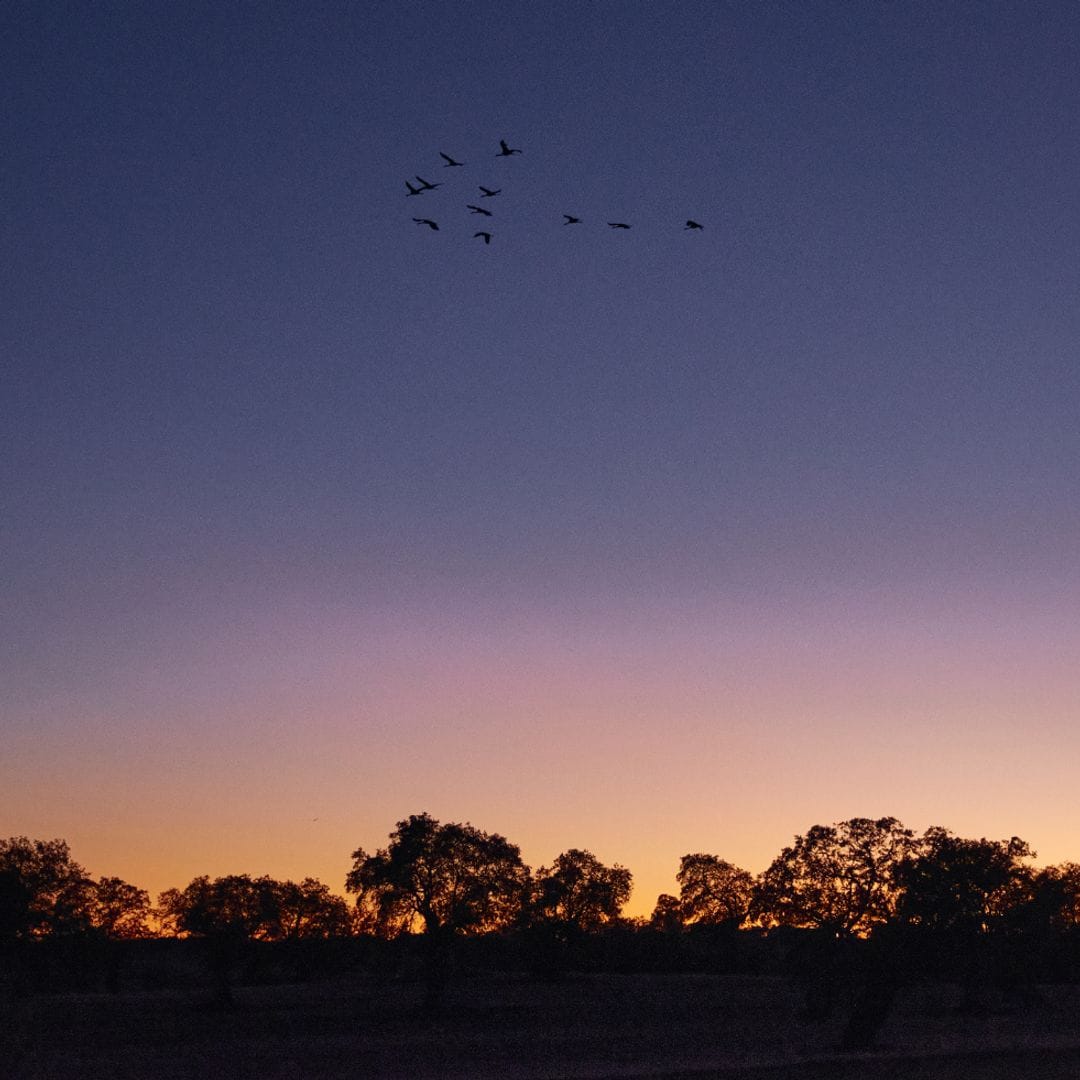 Réserve Starlight, Los Pedroches, Cordoue