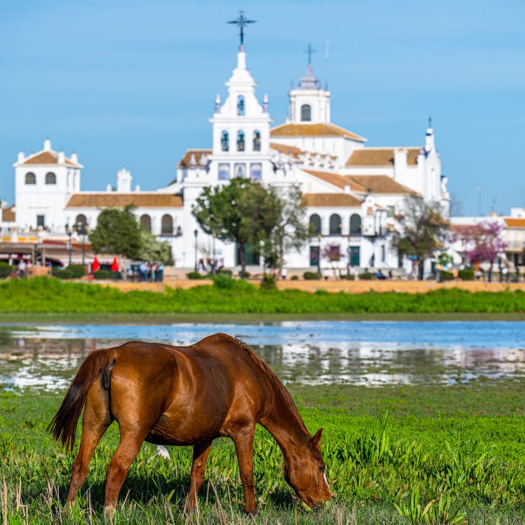 Ermita del Rocío, Almonte, Huelva