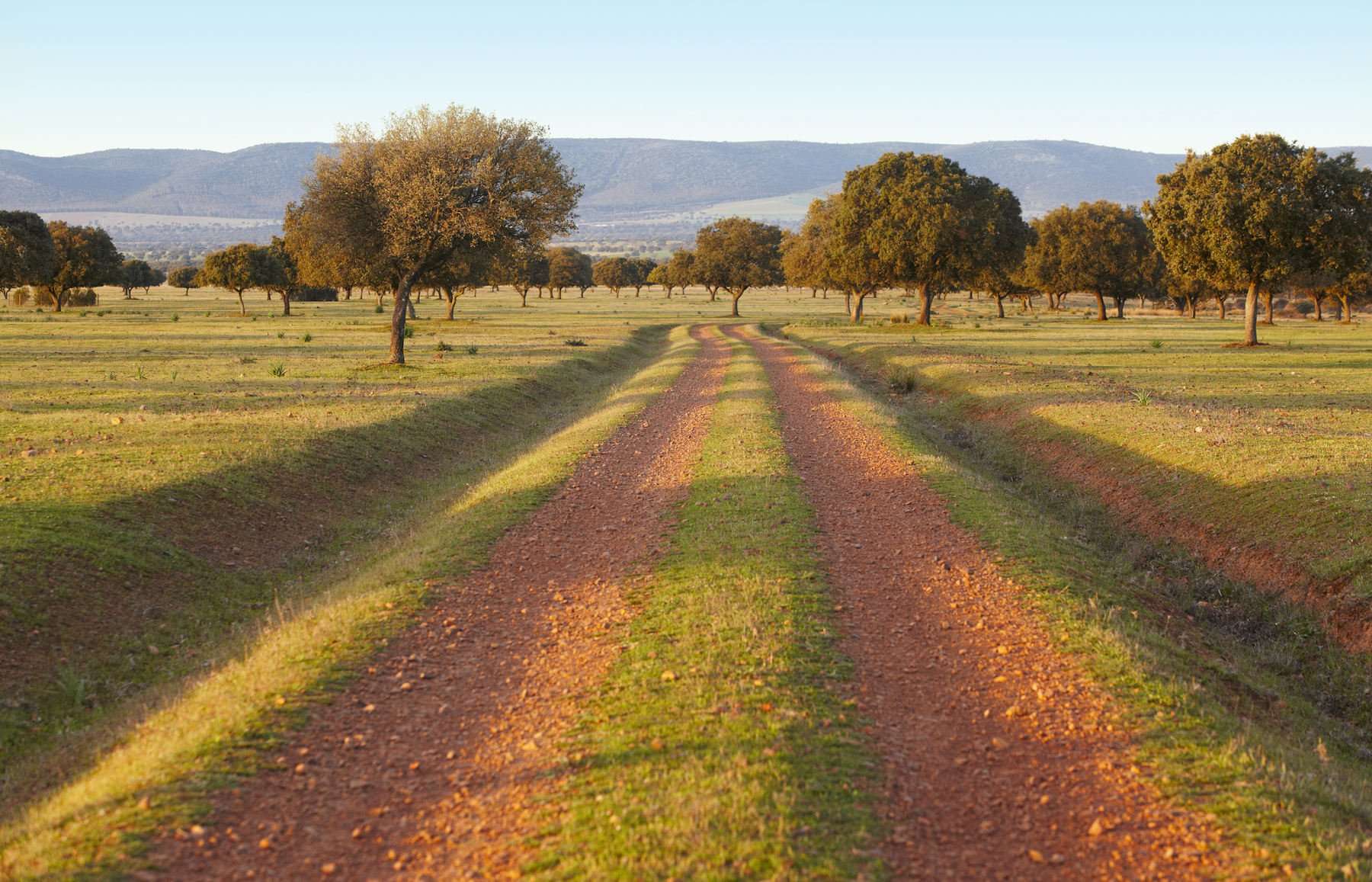 Parque Nacional de Cabañeros