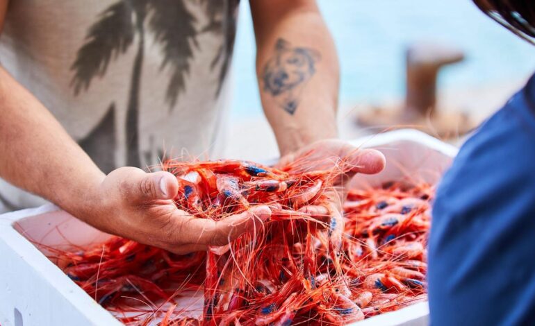 El Gobierno amplía 13 días las jornadas de pesca en el Mediterráneo para garantizar el abastecimiento en Navidad