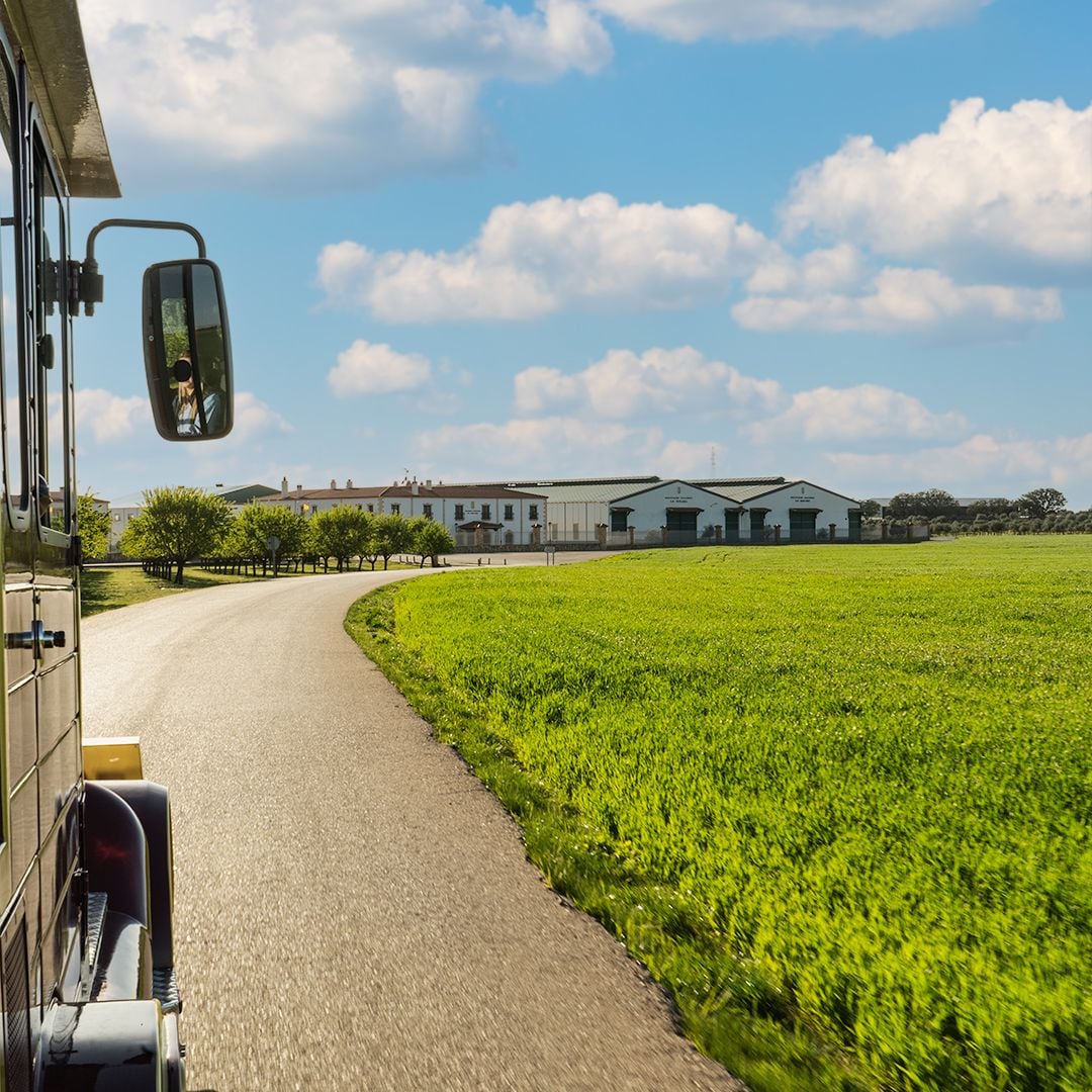 Domaine La Jaraba, Albacete
