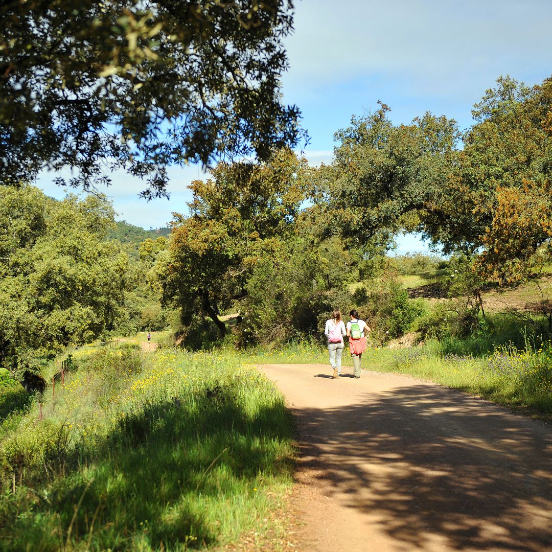 Senderistas por Cortegana, Huelva, Parque Natural Sierra de Aracena y Picos de Aroche