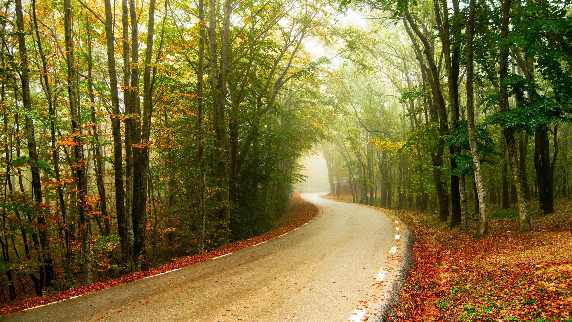 Paisaje característico del parque natural del Montseny.