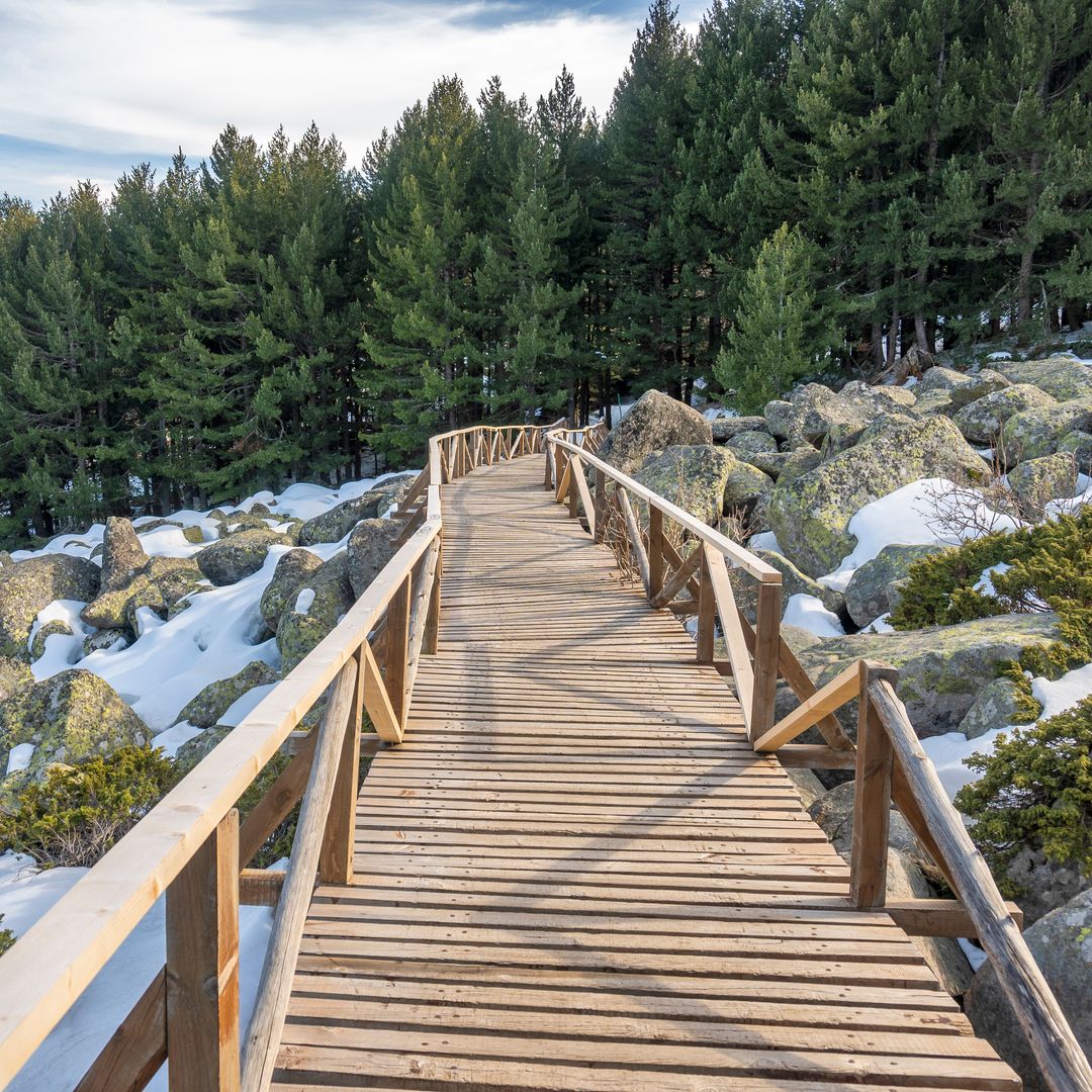 Sendero por el Parque Natural de Vitosha, Bulgaria