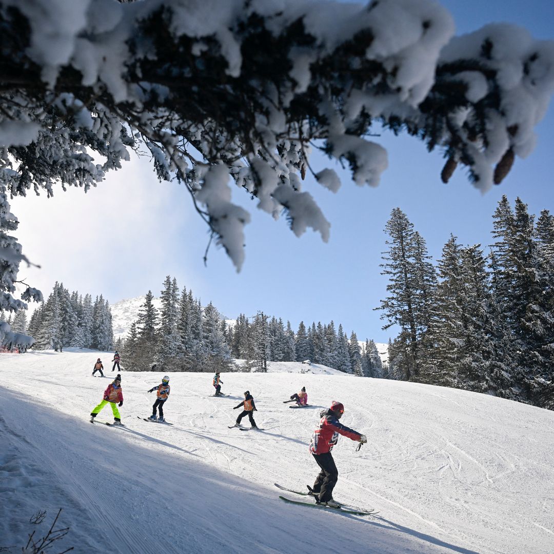 Parque Natural de Vitosha, Sofía, Bulgaria 