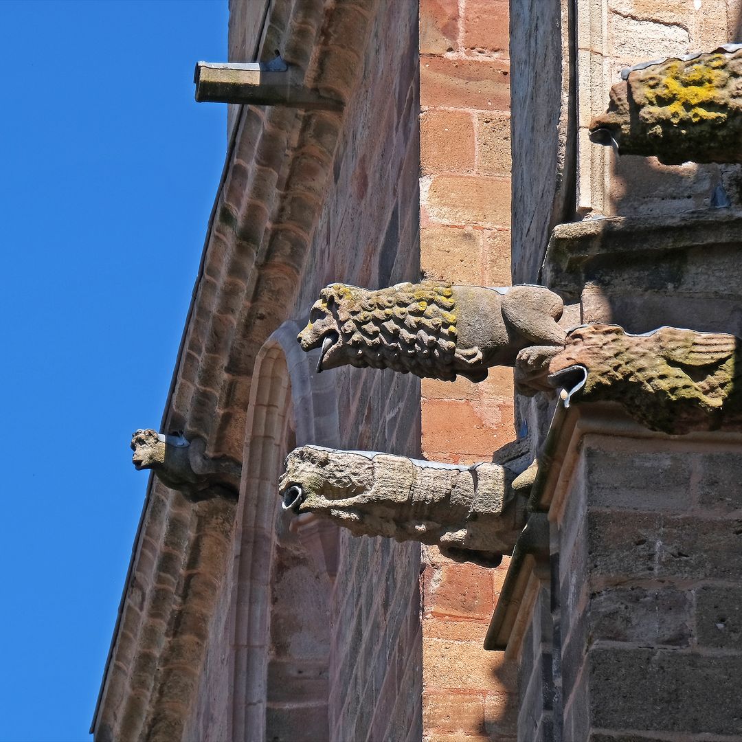 Gárgolas de Rodez, Francia