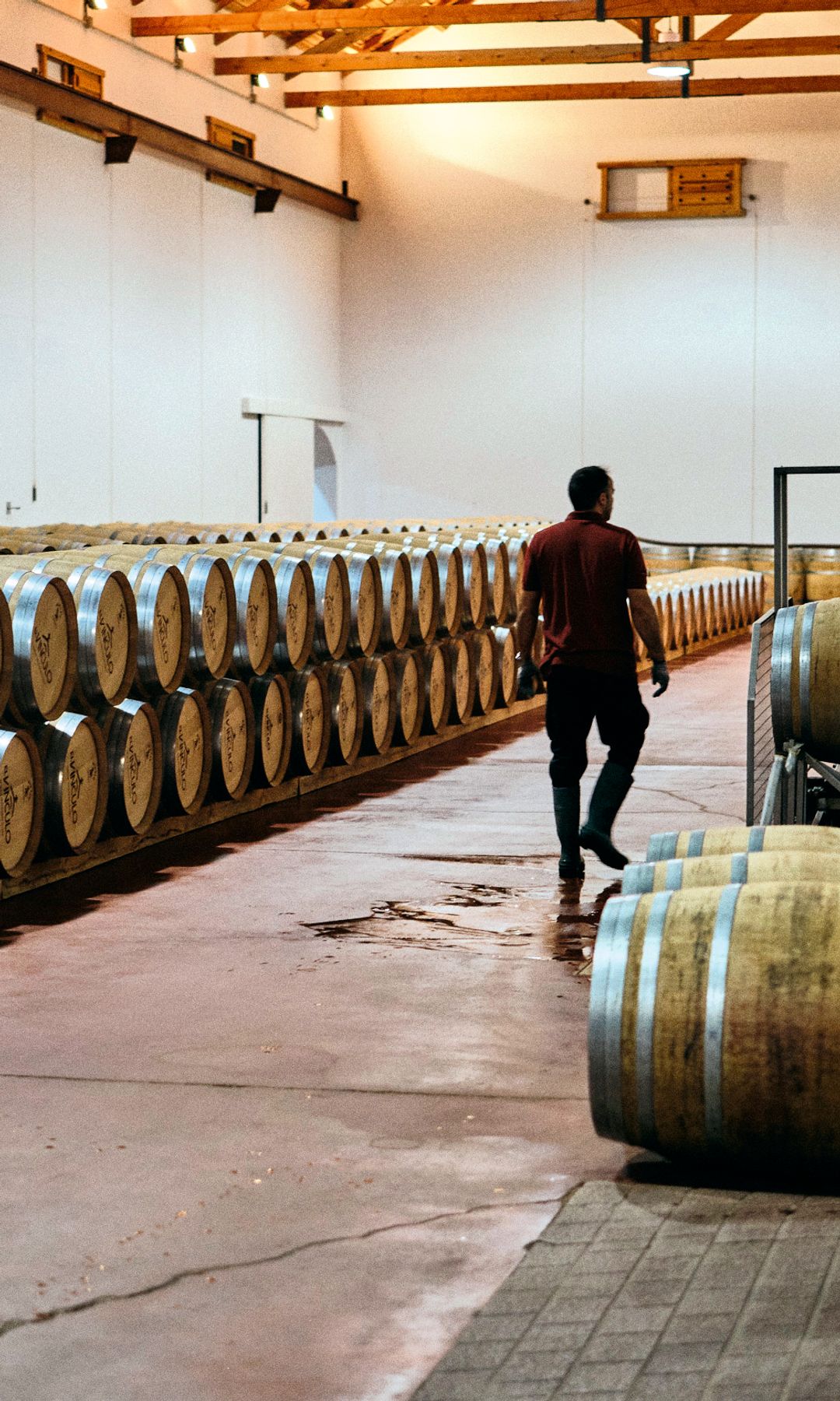 CUEVA EL VÍNCULO Campo de Criptana