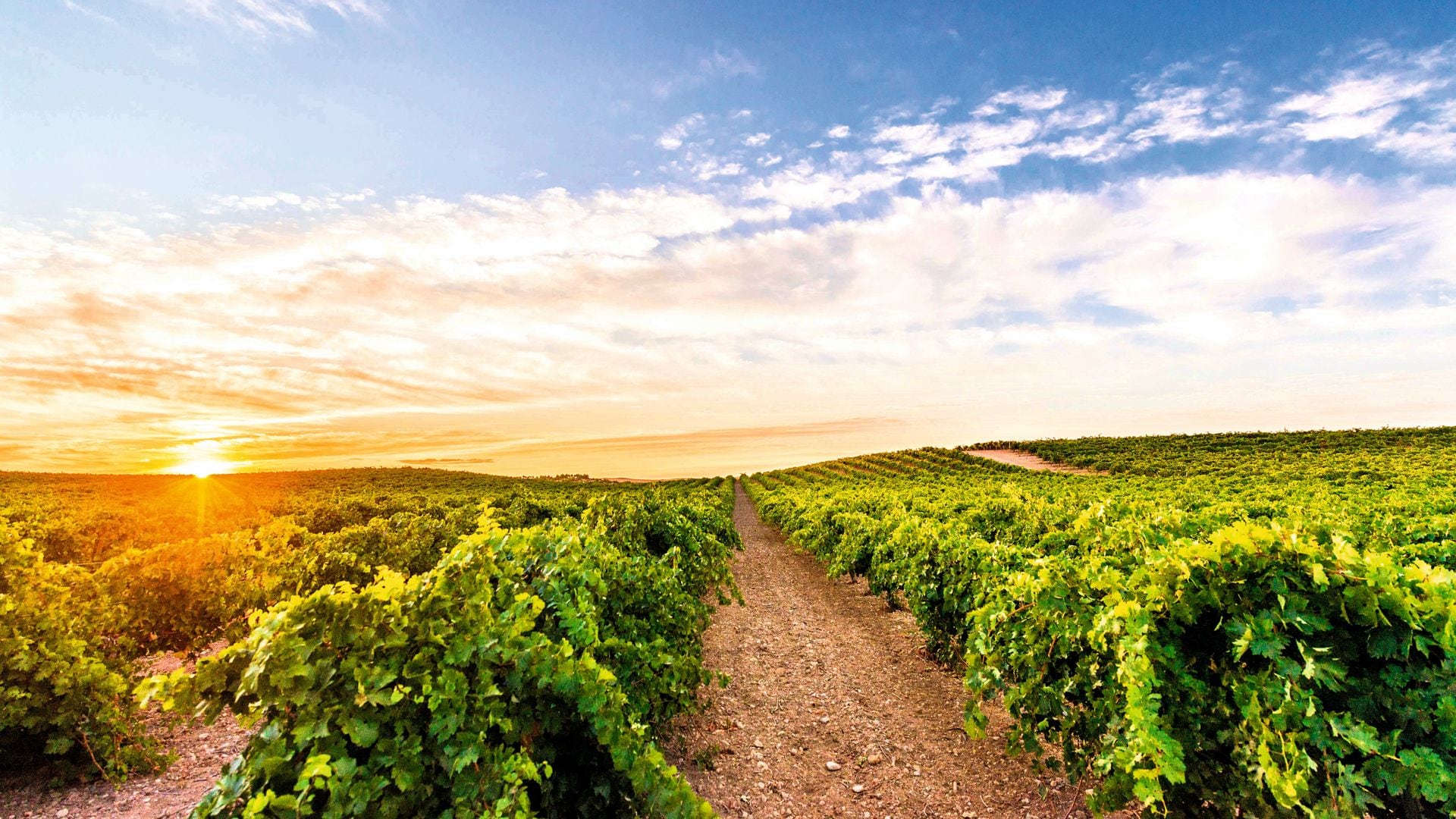 Finca La Estacada Taracón Cuenca