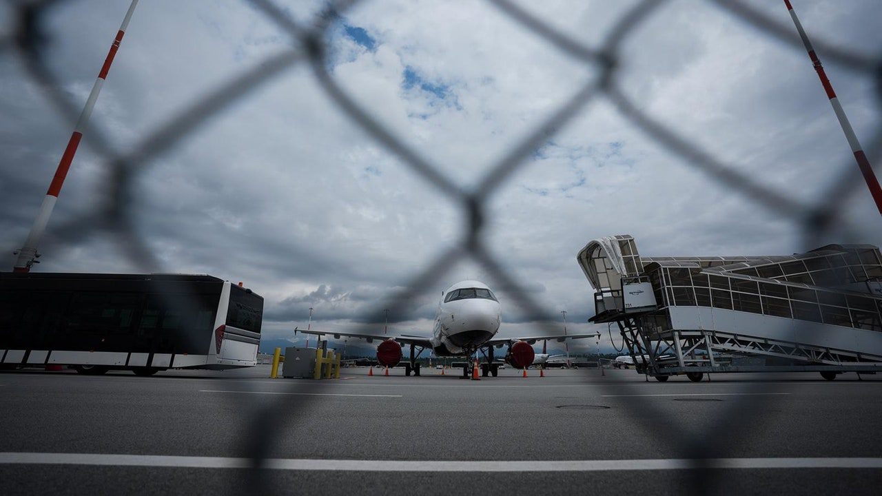 Los aviones Airbus A320 Neo que no cuenten con su software actualizado no pueden volar