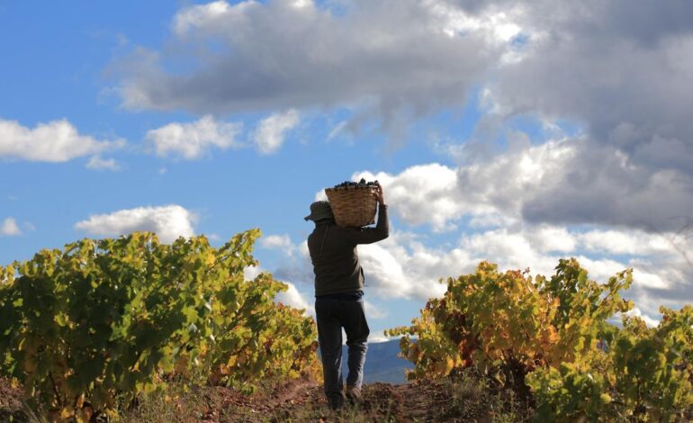 razones para celebrar un evento MICE en un destino único