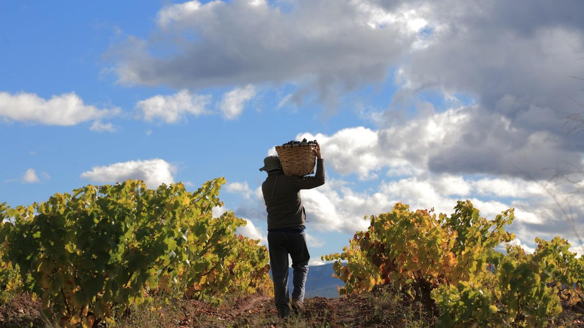 razones para celebrar un evento MICE en un destino único