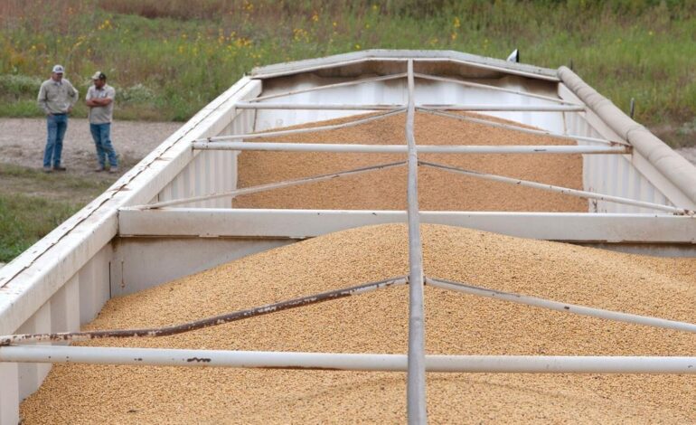 La guerra comercial desatada por Trump por los aranceles hunde al campo americano