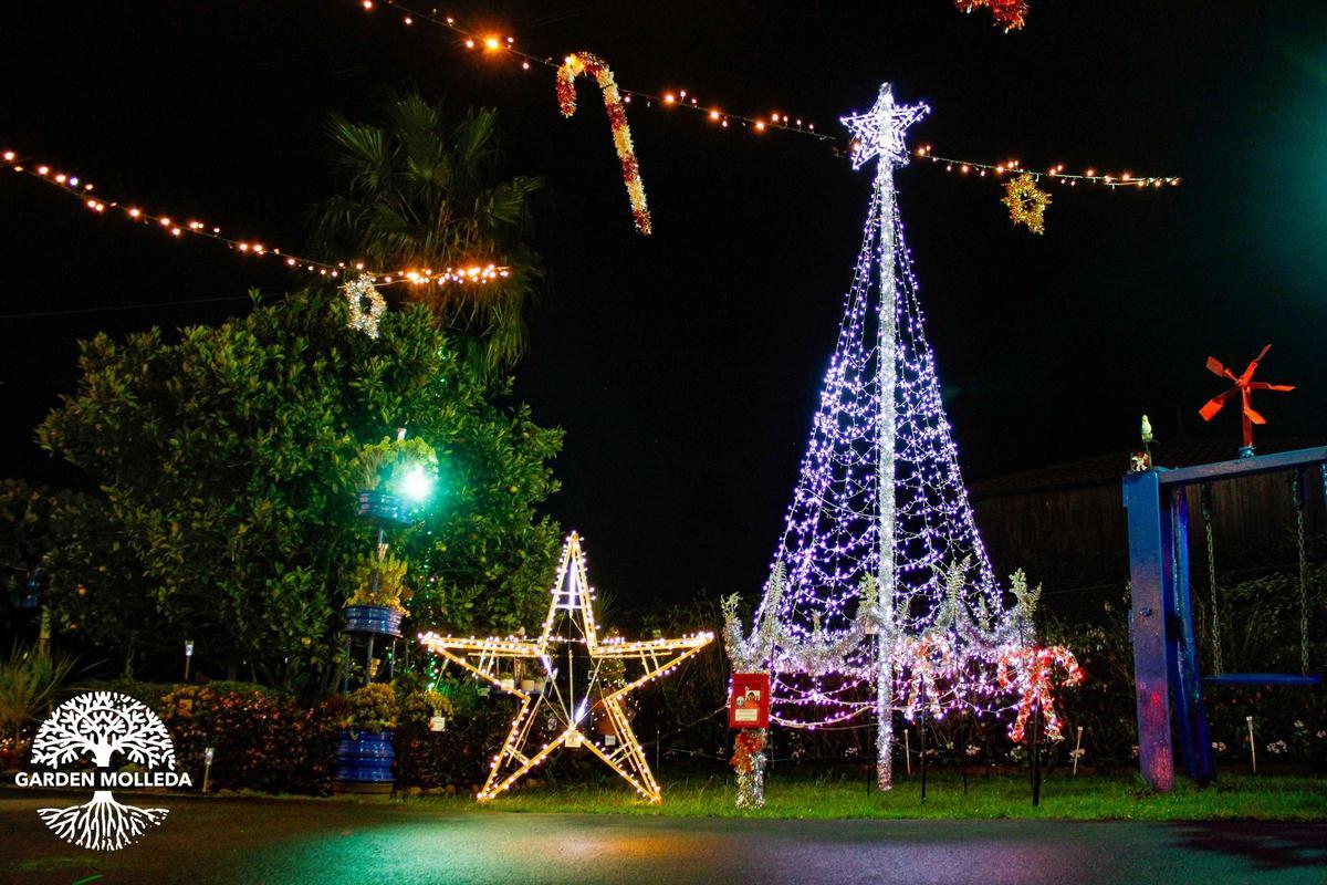 Iluminación en el Jardín de Molleda