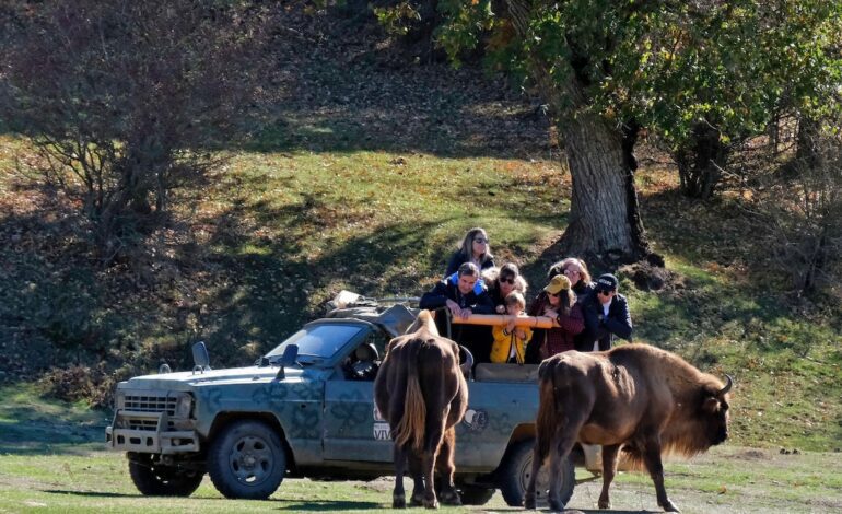 El ‘parque jurásico’ de Burgos donde los animales prehistóricos aún existen y es el plan perfecto para el otoño