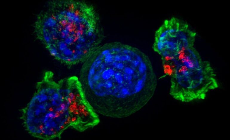 Un conocido fármaco para la hipertensión también detiene el crecimiento del cáncer