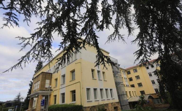 el comité de expertos evalúa las ofertas presentadas