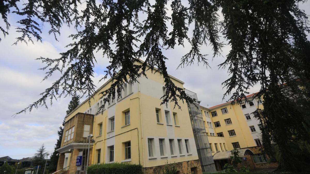 el comité de expertos evalúa las ofertas presentadas