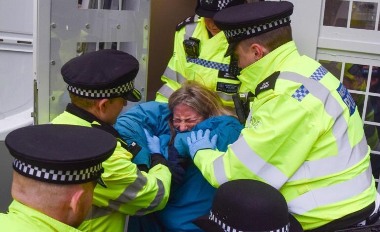 Los grupos de apoyo a la organización Palestine Action aumentan la presión para revertir su ilegalización en el Reino Unido