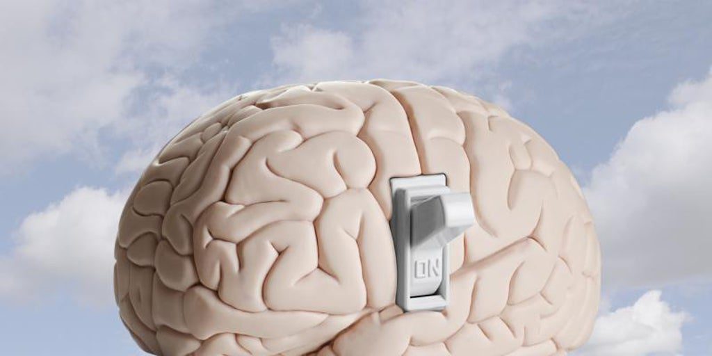 Las recomendaciones de los neurólogos para rejuvenecer el cerebro