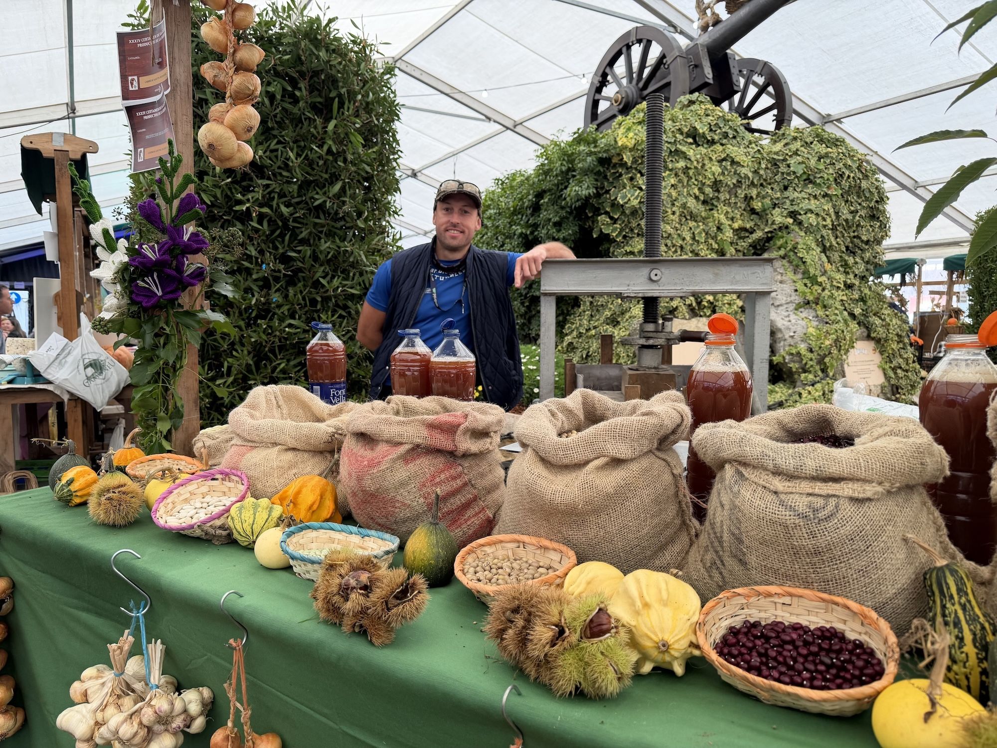 Concurso de castañas y productos de la huerta en Arriondas