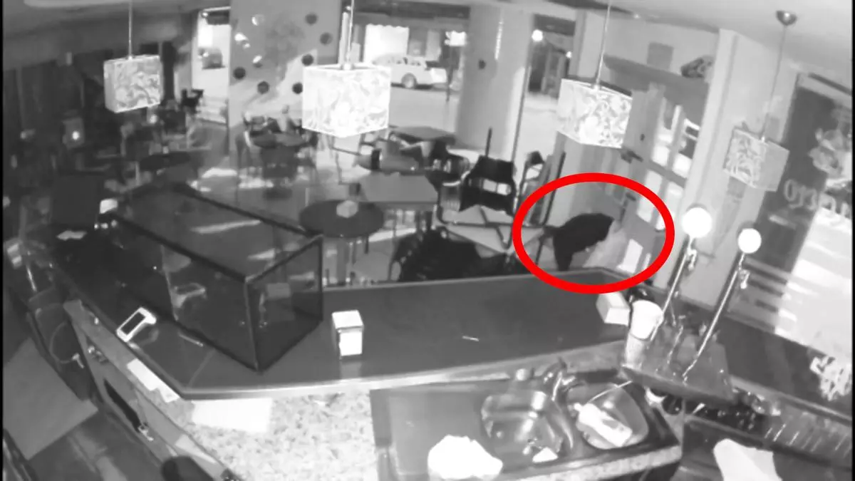 Detenido por once robos tras salir de prisión: así actuó un ladrón reincidente de Calahorra