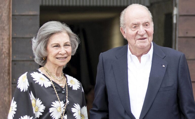 Hice todo lo posible, a pesar de mis torpezas, por velar por su bienestar