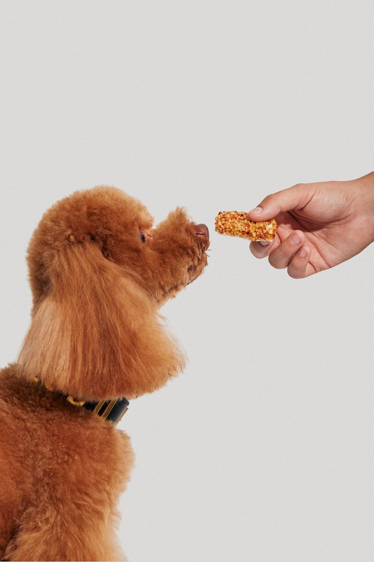 Una lata con una ración de turrón de zanahoria