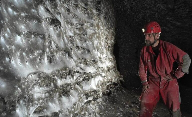 TELARAÑA GIGANTE | Descubren en una cueva una telaraña gigante de 106 metros cuadrados con 110.000 arañas