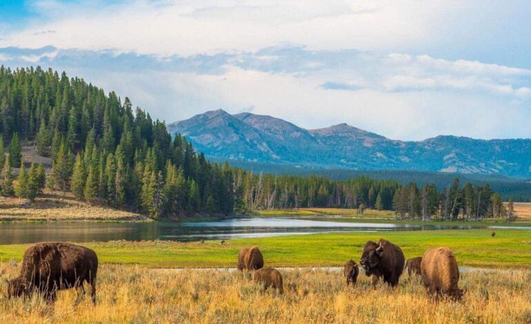 Trump triplica para los extranjeros el precio de entrada a los parques nacionales de EEUU