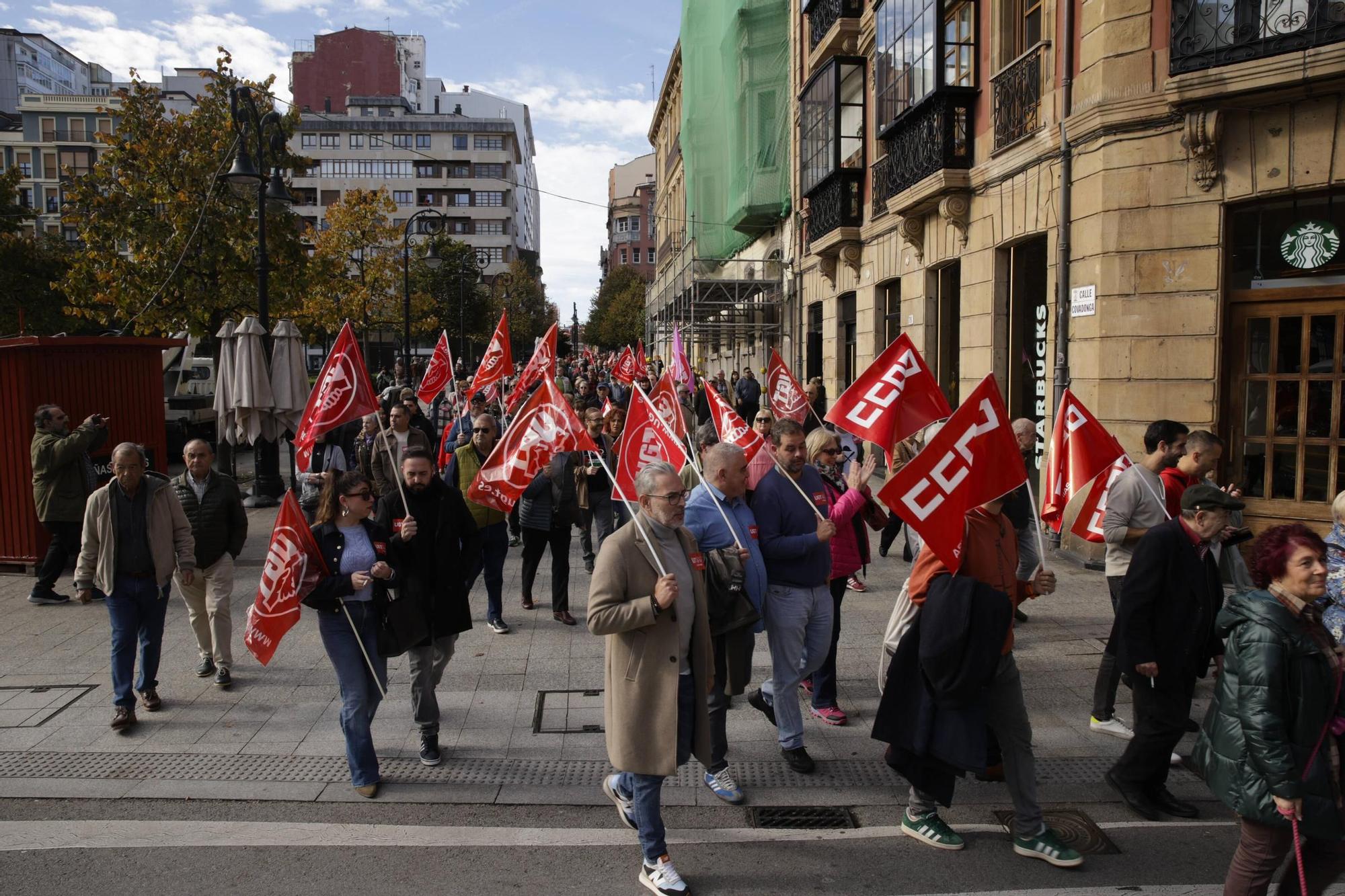La movilización por la salud pública en Gijón, en imágenes