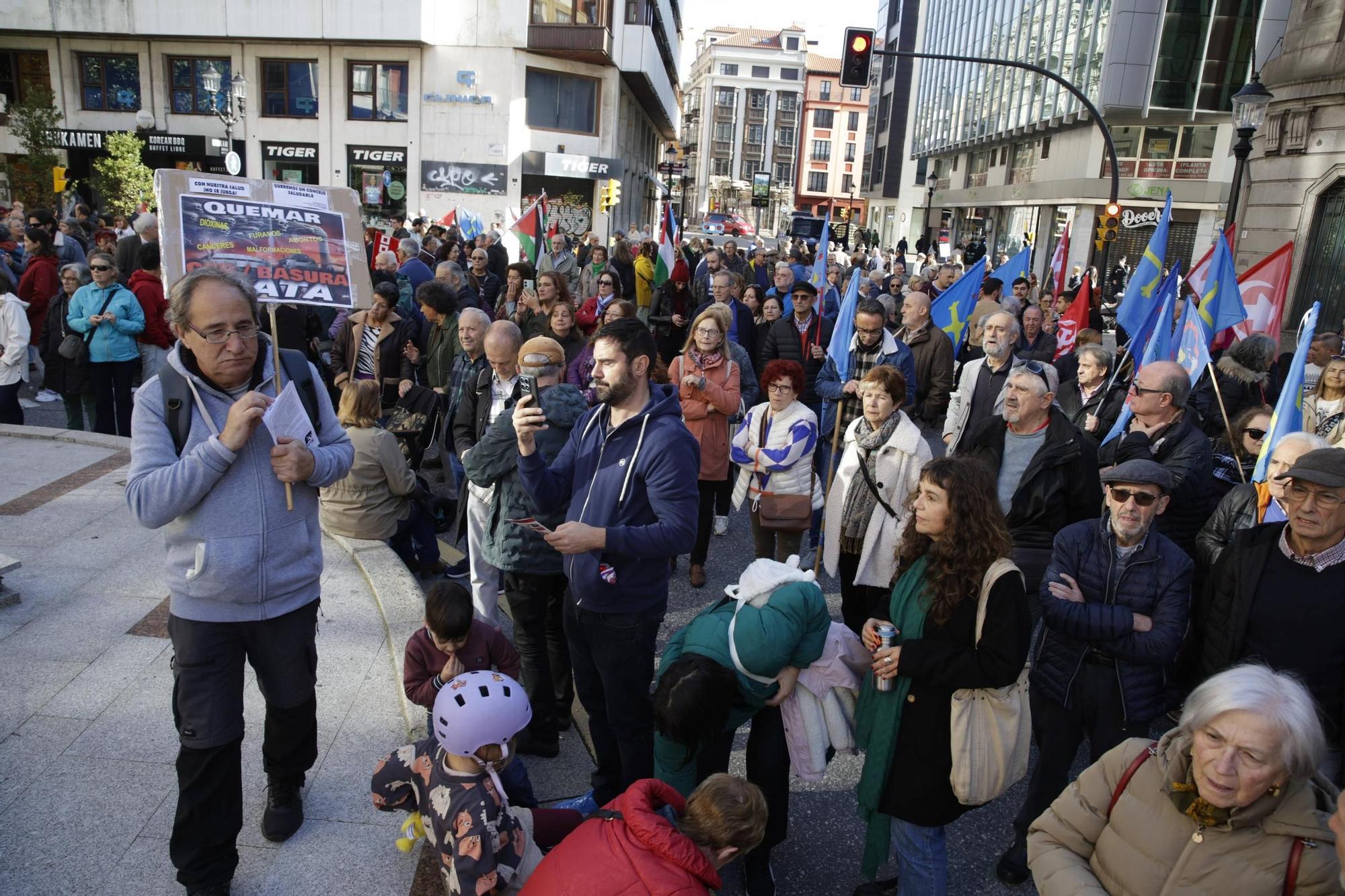 La movilización por la salud pública en Gijón, en imágenes