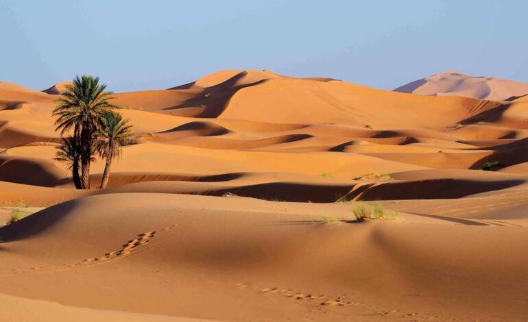 LLUVIAS SAHARA | Las lluvias pueden aumentar un 75% en el Sahara a partir de 2050, según los científicos