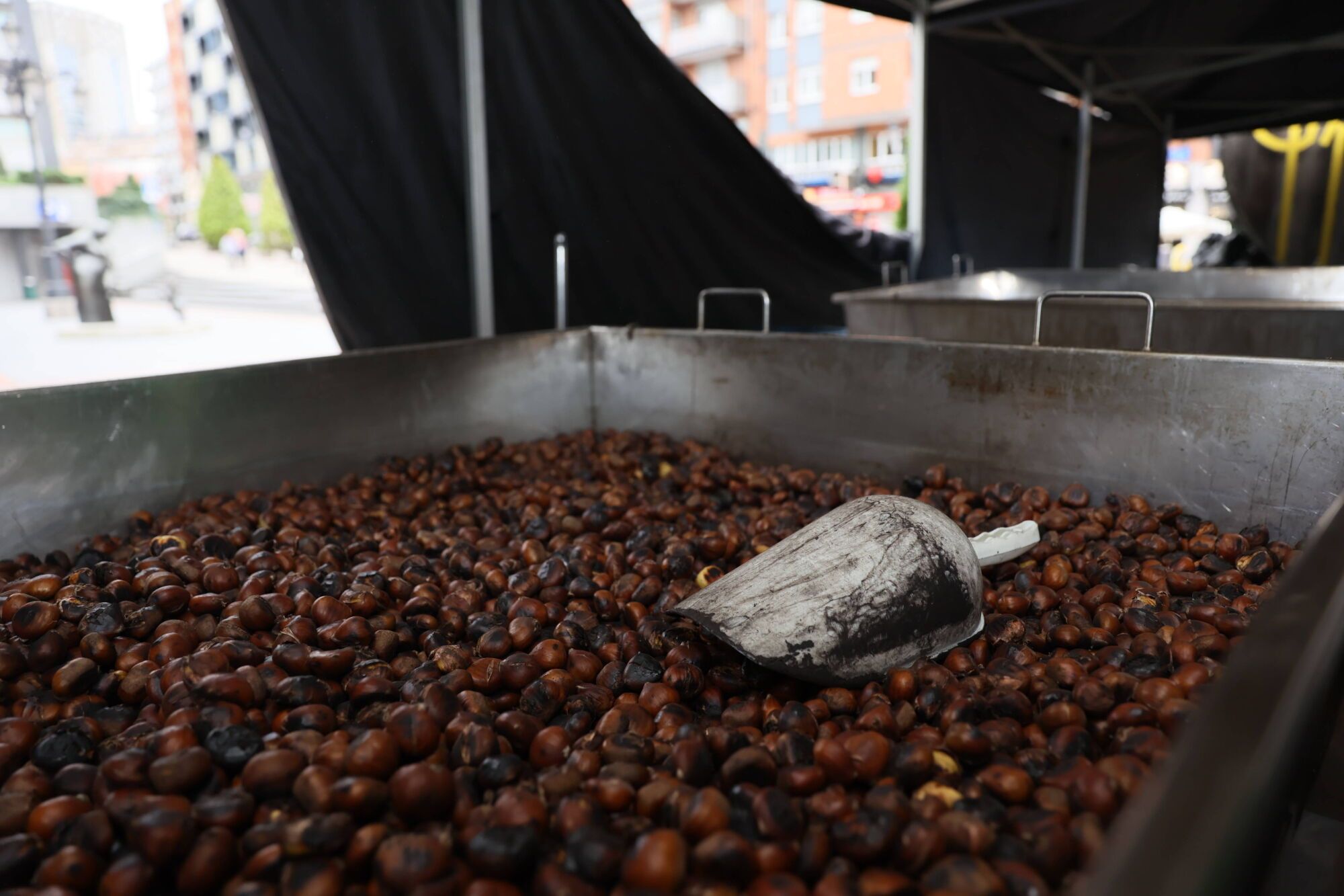 Gascón. Amagüestu Gascona