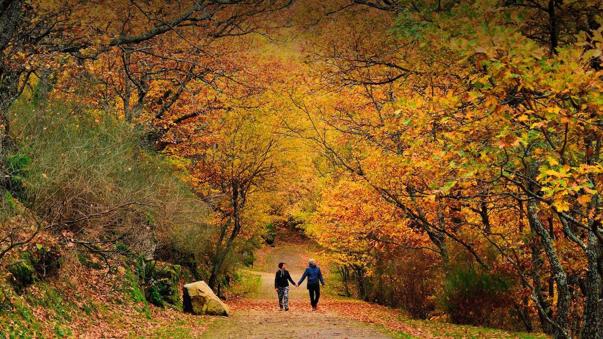 del rincón favorito de Felipe II a los ecos de un bosque glaciar