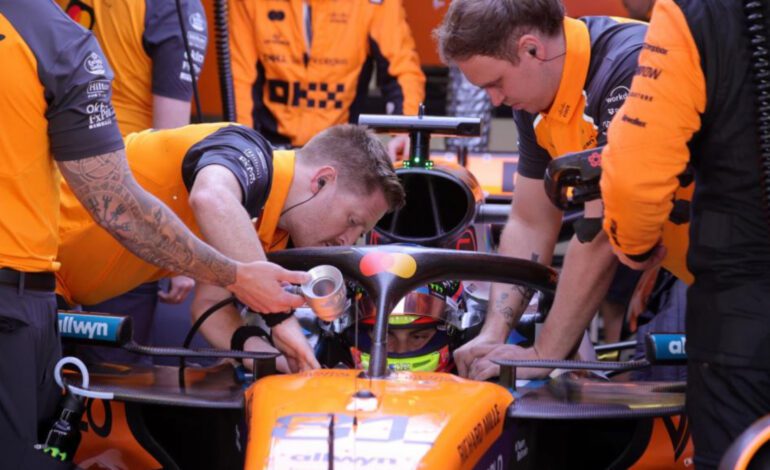 Las reglas papaya mataron a Piastri