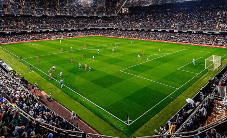 El Valencia expulsa de Mestalla al ‘racista del sector 5’ que no estará en el derbi